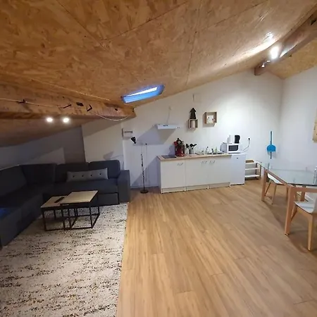 Appartement Loft Du Get *
